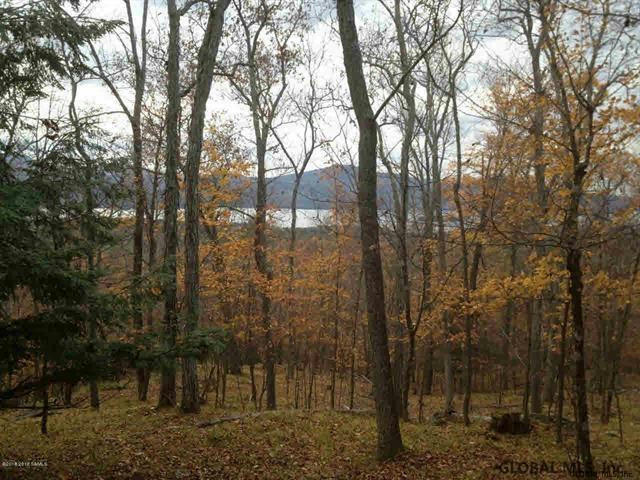 LOT 1 VALLEY WOODS ROAD, BOLTON LANDING, NY 12814, photo 1 of 18