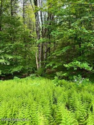 L82.3 OLD GHOST ROAD # LOT 22, CANAAN, NY 12125, photo 2 of 7