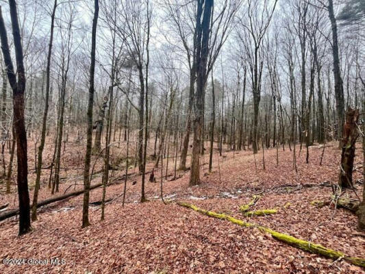 L67 OLD GHOST ROAD # LOT 6, CANAAN, NY 12125, photo 5 of 7