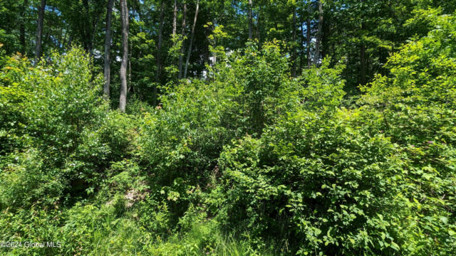 L3 EAST ROAD # LOT 3, ST JOHNSVILLE, NY 13452, photo 5 of 8