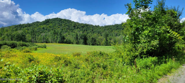 599 LEWIS HOLLOW RD, PETERSBURGH, NY 12138 - Image 1