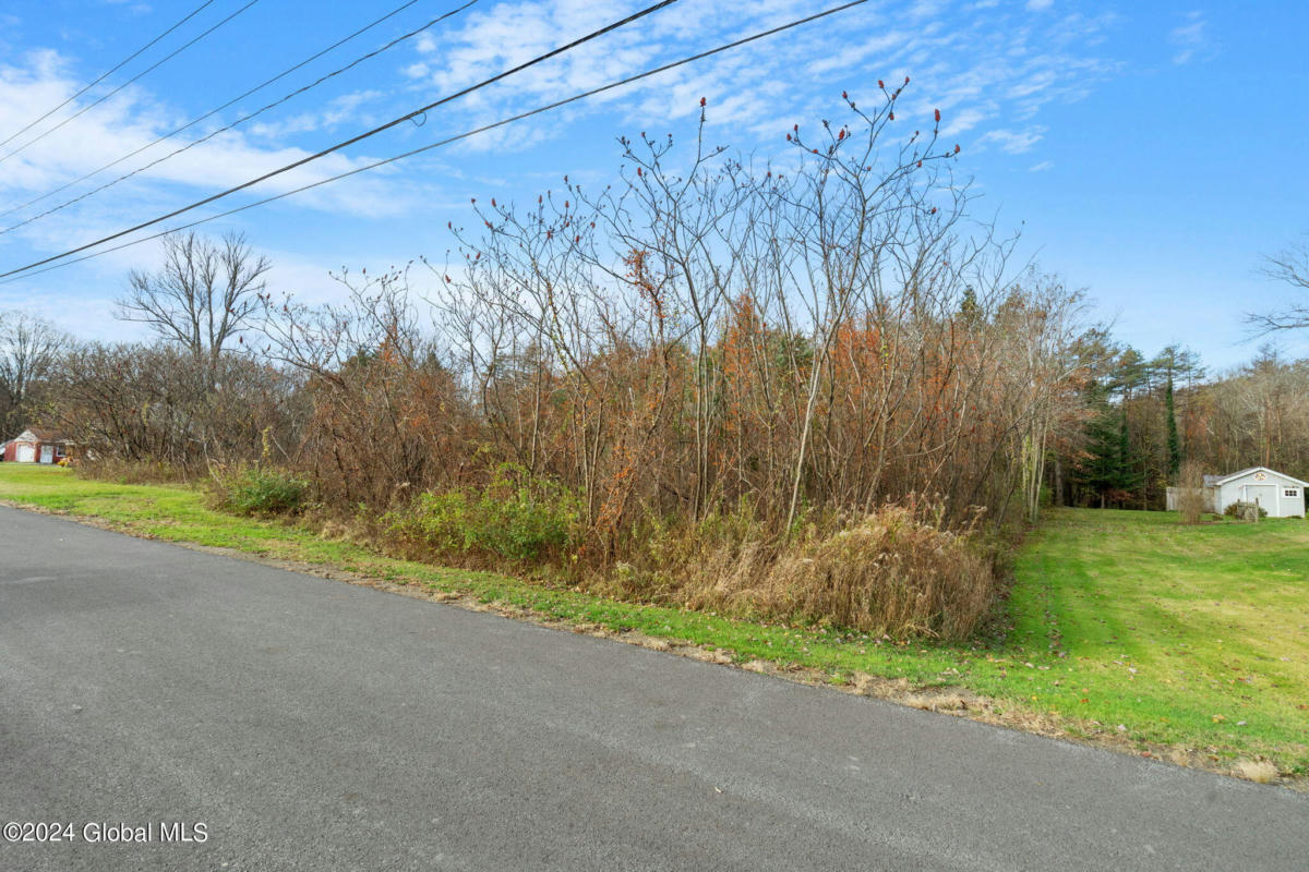 LOT 2 CHAMPAGNE DRIVE, SCHODACK, NY 12033, photo 1 of 3