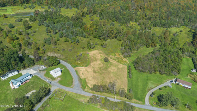 L11.118 SAM LAPE ROAD, SUMMIT, NY 12175 - Image 1