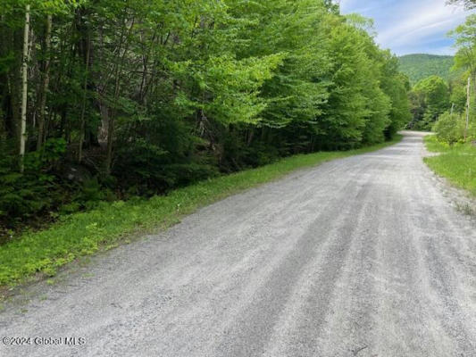 110 RUBY MOUNTAIN RD, NORTH RIVER, NY 12856 - Image 1