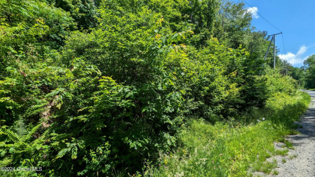 L2 EAST ROAD # LOT 2, ST JOHNSVILLE, NY 13452, photo 2 of 5