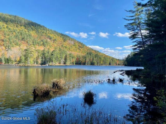 35 Mountain Path, North Creek, Ny 12853 Vacant Land For Sale 