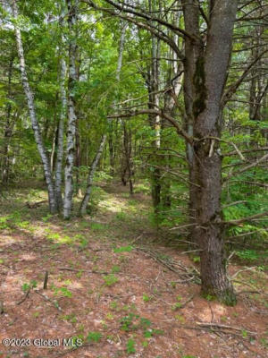 L82.3 OLD GHOST ROAD # LOT 22, CANAAN, NY 12125, photo 3 of 7