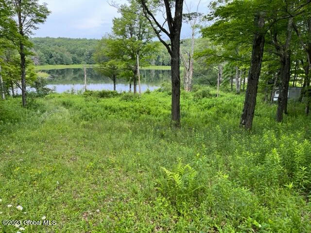 61 THUNDER HILL RD, RENSSELAERVILLE, NY 12147, photo 1 of 9