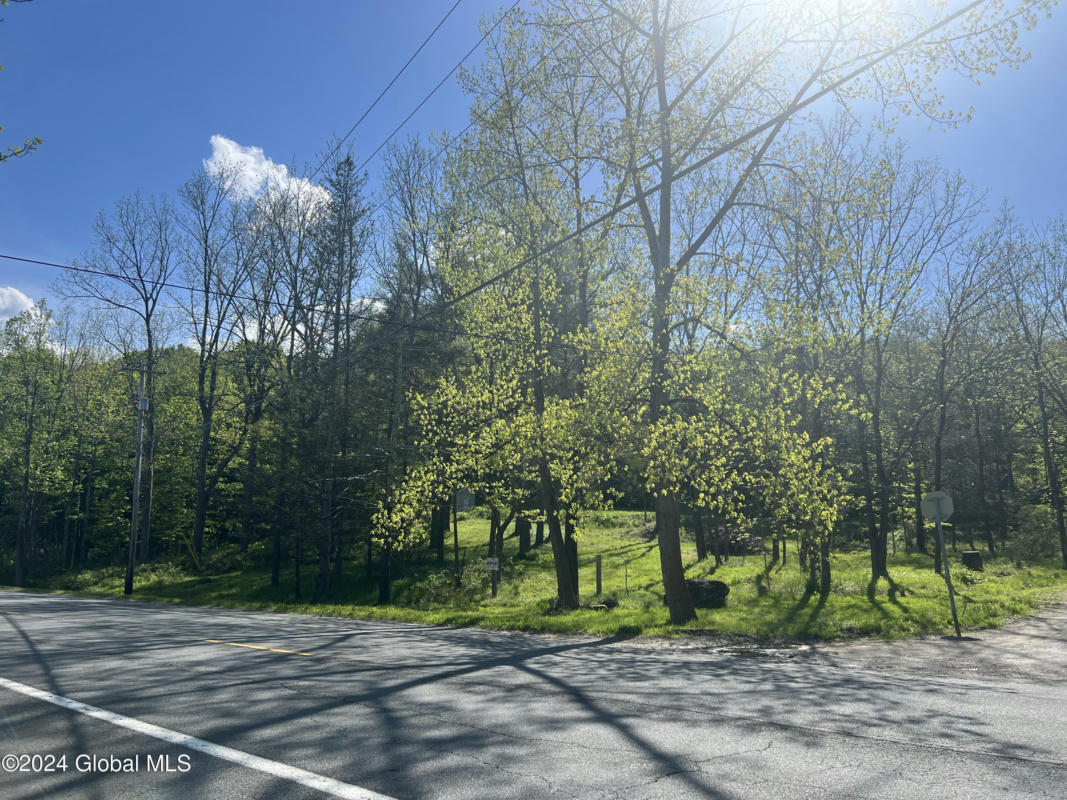 17963 STATE ROUTE 22, BERLIN, NY 12022 Vacant Land For Sale | MLS ...