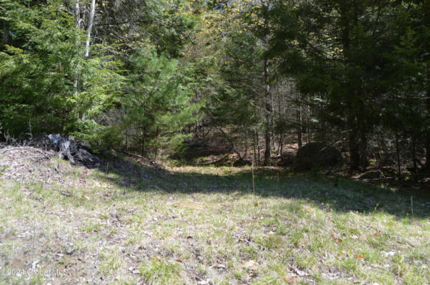 00 ADIRONDACK HEIGHTS RD LOT 7, CHESTERTOWN, NY 12817, photo 4 of 6