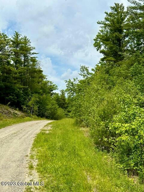 L82.3 OLD GHOST ROAD # LOT 22, CANAAN, NY 12125, photo 1 of 7
