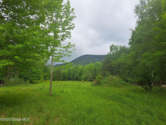145 LITTLE TOR ROAD, AUSABLE FORKS, NY 12912 - Image 1