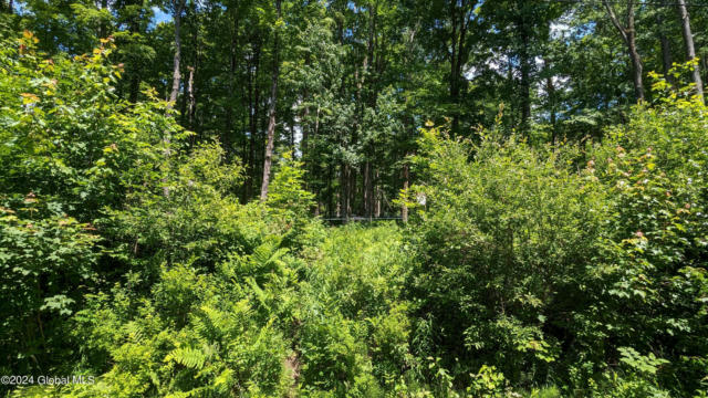 L3 EAST ROAD # LOT 3, ST JOHNSVILLE, NY 13452, photo 4 of 8